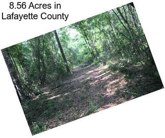 8.56 Acres in Lafayette County