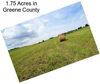 1.75 Acres in Greene County