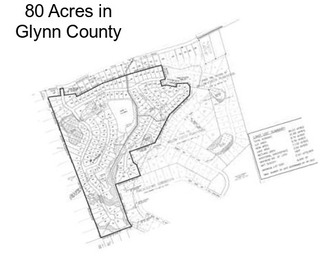 80 Acres in Glynn County