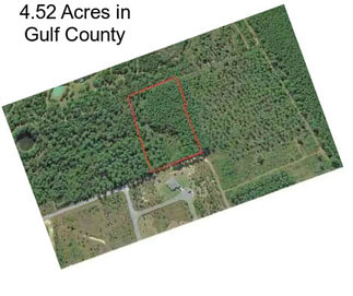 4.52 Acres in Gulf County