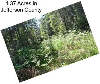 1.37 Acres in Jefferson County