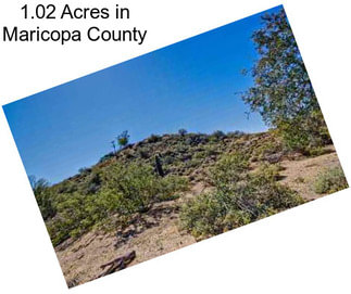 1.02 Acres in Maricopa County