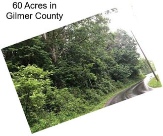 60 Acres in Gilmer County