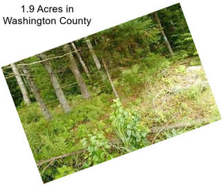 1.9 Acres in Washington County