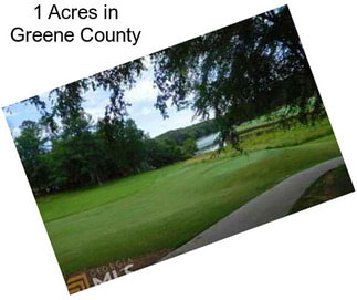 1 Acres in Greene County