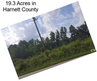 19.3 Acres in Harnett County
