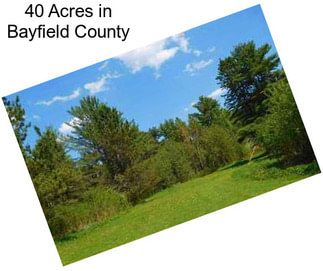 40 Acres in Bayfield County