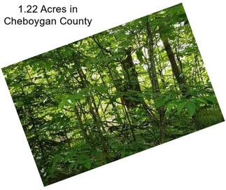 1.22 Acres in Cheboygan County