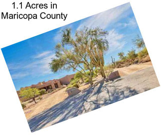 1.1 Acres in Maricopa County