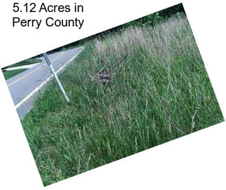 5.12 Acres in Perry County