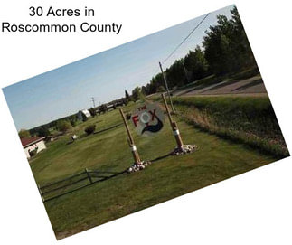 30 Acres in Roscommon County