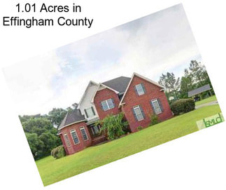 1.01 Acres in Effingham County