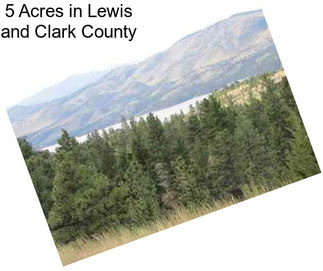 5 Acres in Lewis and Clark County