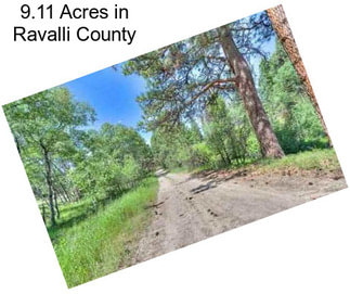 9.11 Acres in Ravalli County