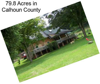 79.8 Acres in Calhoun County