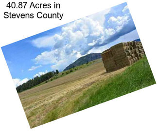 40.87 Acres in Stevens County