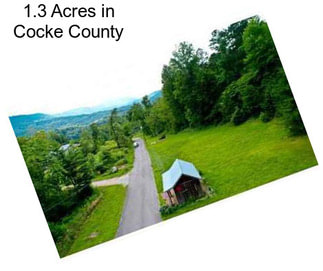 1.3 Acres in Cocke County