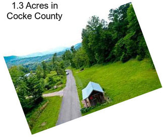 1.3 Acres in Cocke County