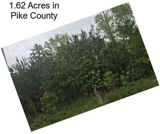 1.62 Acres in Pike County
