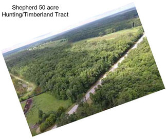 Shepherd 50 acre Hunting/Timberland Tract