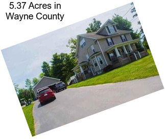 5.37 Acres in Wayne County