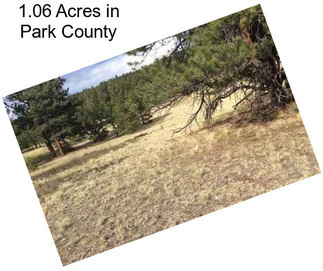 1.06 Acres in Park County