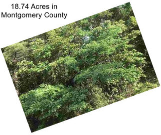 18.74 Acres in Montgomery County