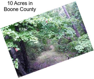 10 Acres in Boone County