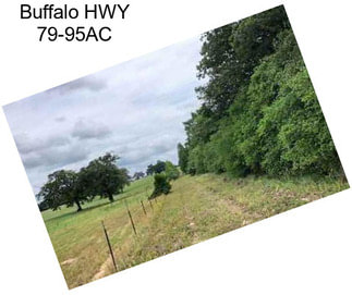 Buffalo HWY 79-95AC