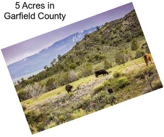 5 Acres in Garfield County