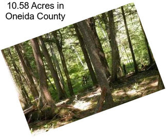 10.58 Acres in Oneida County