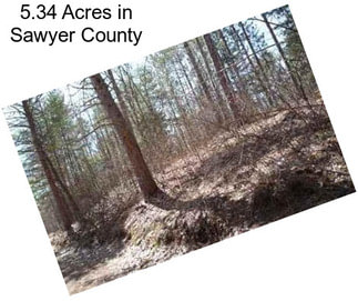 5.34 Acres in Sawyer County