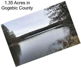 1.35 Acres in Gogebic County