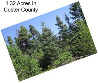 1.32 Acres in Custer County