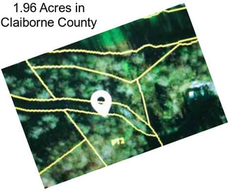 1.96 Acres in Claiborne County