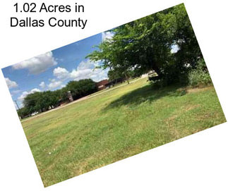 1.02 Acres in Dallas County