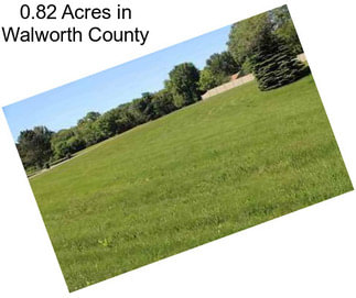 0.82 Acres in Walworth County