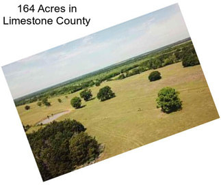 164 Acres in Limestone County