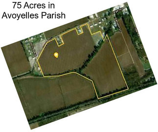 75 Acres in Avoyelles Parish