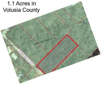 1.1 Acres in Volusia County