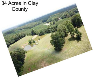 34 Acres in Clay County