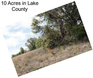 10 Acres in Lake County