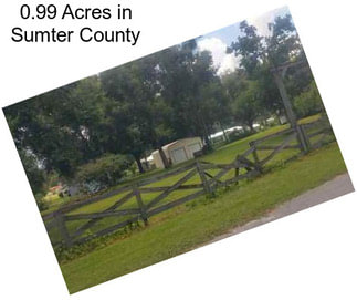 0.99 Acres in Sumter County