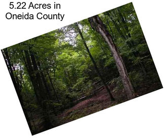 5.22 Acres in Oneida County