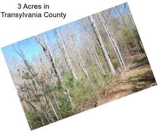 3 Acres in Transylvania County