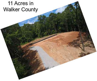 11 Acres in Walker County