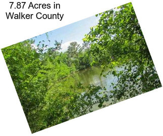 7.87 Acres in Walker County