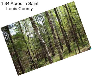 1.34 Acres in Saint Louis County