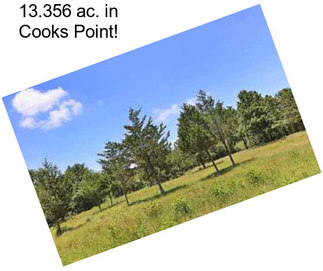 13.356 ac. in Cooks Point!