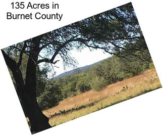 135 Acres in Burnet County